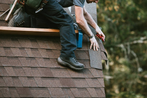Best Metal Roofing Contractor  in Hot Springs, AR